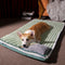 CalmCloud Lit pour chien