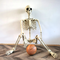 GhoulGuard | Squelette d'Halloween grandeur nature de 170 cm - décoration de jardin mobile pour une maison et un jardin hantés et effrayants