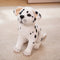 Jouet en peluche pour chiot, peluche douce, ourson en peluche