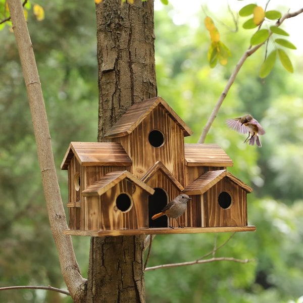 WillowNest volière en bois fonctionnelle
