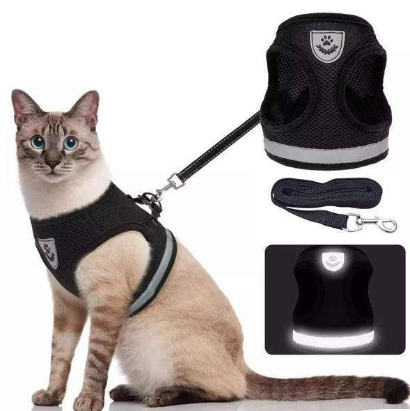 Harnais pour chat réglable, respirant et lumineux