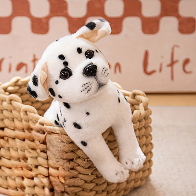 Jouet en peluche pour chiot, peluche douce, ourson en peluche