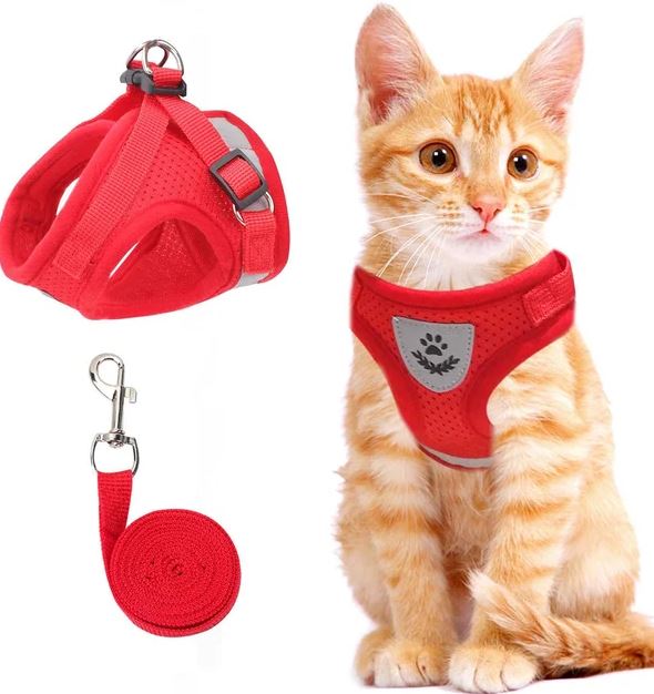 Harnais pour chat réglable, respirant et lumineux