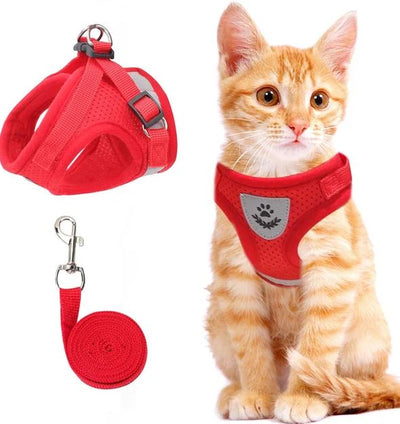 Harnais pour chat réglable, respirant et lumineux