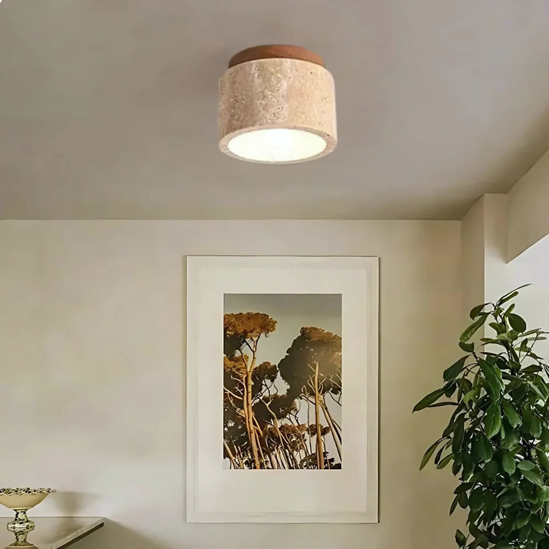 Plafonnier moderne en bois et métal dans un salon élégant avec plante verte et tableau encadré. Éclairage intérieur design, décoration contemporaine.