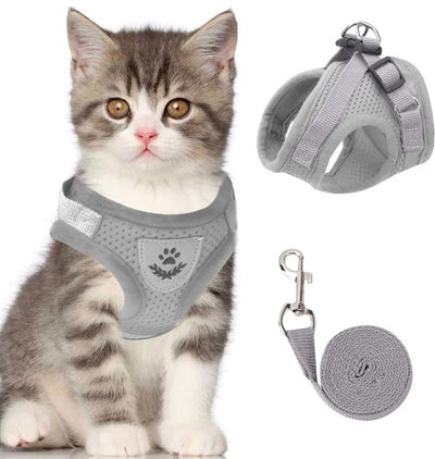 Harnais pour chat réglable, respirant et lumineux