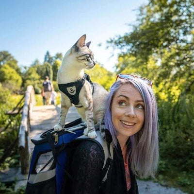 Harnais pour chat réglable, respirant et lumineux