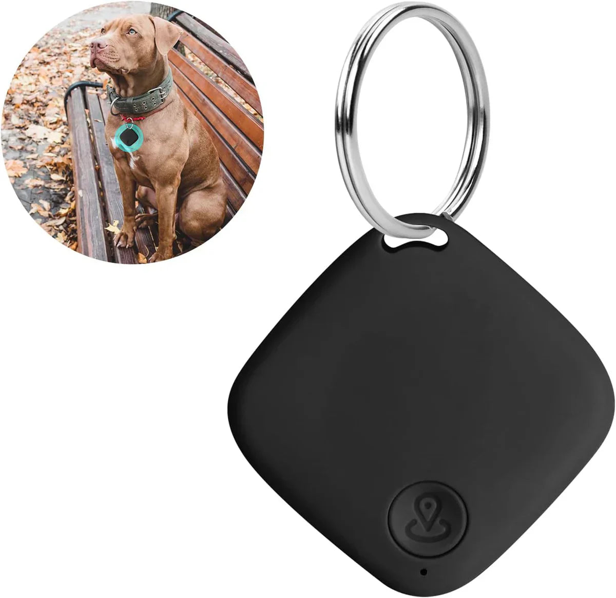 PetTrack - Traceur GPS compact pour animaux domestiques, enfants & objets de valeur