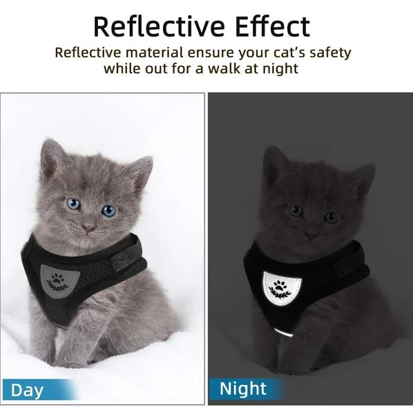 Harnais pour chat réglable, respirant et lumineux