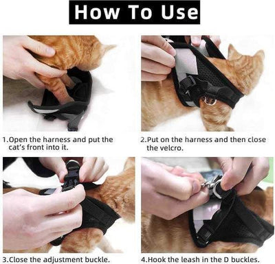 Harnais pour chat réglable, respirant et lumineux
