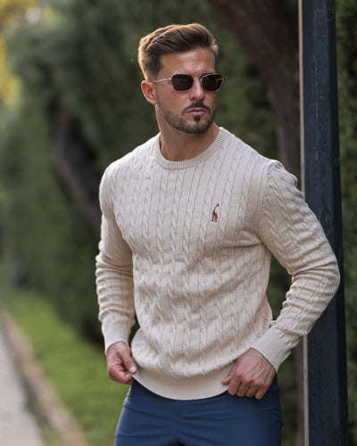 Pull en coton tricoté pour hommes