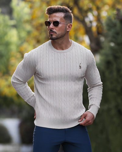 Pull en coton tricoté pour hommes