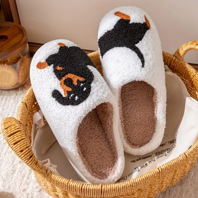 Chaussons d'hiver stylés en peluche Teckel Pour Femme | Idéal pour l'hiver