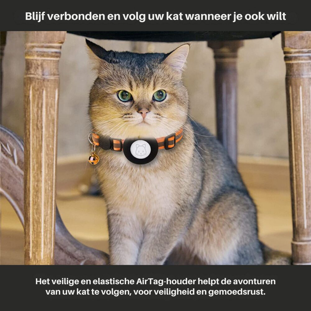 Chat domestique portant un collier avec AirTag, assis sous une chaise en bois. Accessoire de suivi pour animaux, sécurité et tranquillité d'esprit.