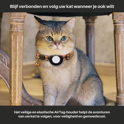 Chat domestique portant un collier avec AirTag, assis sous une chaise en bois. Accessoire de suivi pour animaux, sécurité et tranquillité d'esprit.