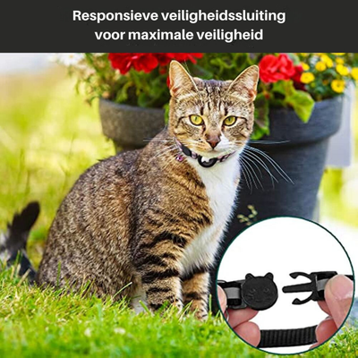 Chat gris tigré assis devant un pot de fleurs, portant un collier de sécurité noir. Gros plan sur la boucle du collier. Sécurité animale, jardin.