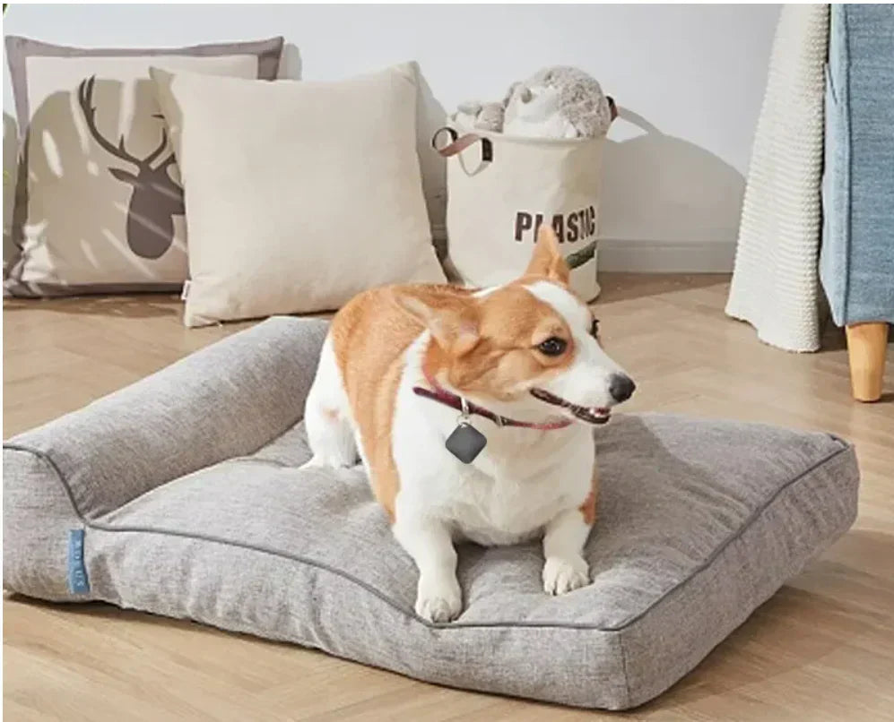 PetTrack - Traceur GPS compact pour animaux domestiques, enfants & objets de valeur