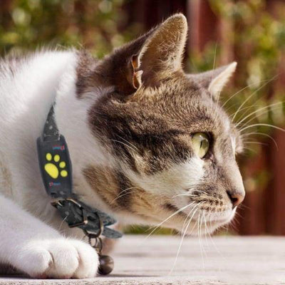 PAWTRACK MINI - Συμπαγής ανιχνευτής GPS για γάτες με εντοπισμό θέσης σε πραγματικό χρόνο