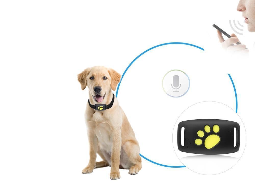 PAWTRACK MINI - Συμπαγής ανιχνευτής GPS για γάτες με εντοπισμό θέσης σε πραγματικό χρόνο