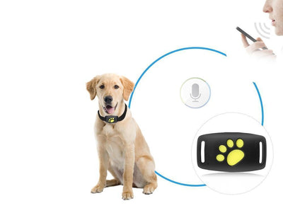 PAWTRACK MINI - Συμπαγής ανιχνευτής GPS για γάτες με εντοπισμό θέσης σε πραγματικό χρόνο