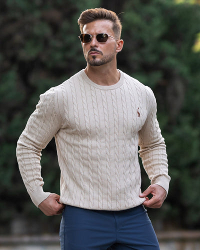 Pull en coton tricoté pour hommes