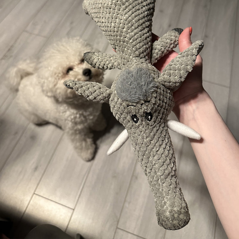 Jouet pour chien extra fort pour les mâcheurs agressifs - Durable et sûr