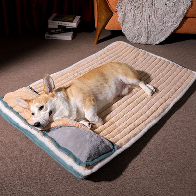 CalmCloud Lit pour chien