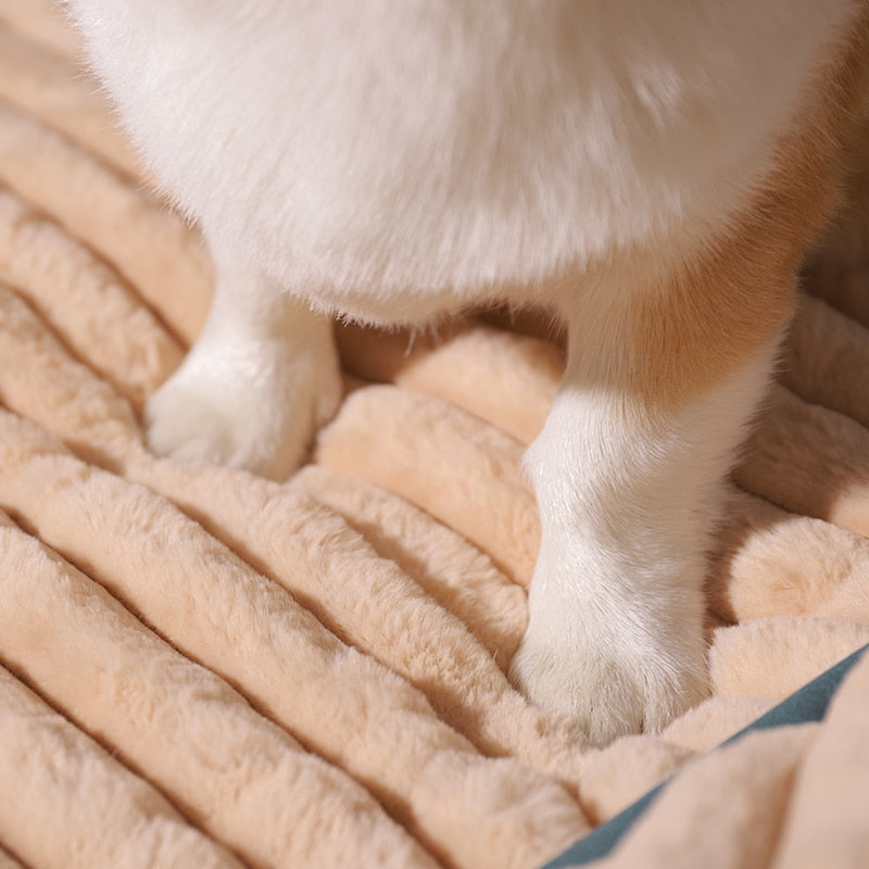 CalmCloud Lit pour chien