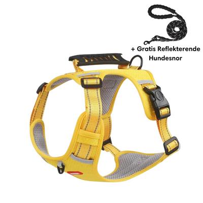 Harnais pour chien jaune avec poignée antidérapante, coutures réfléchissantes, boucle de sécurité, et laisse noire incluse. Accessoire pour promenade.