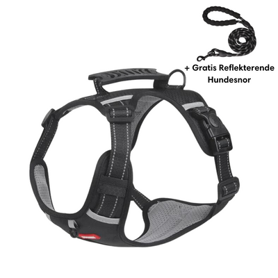 Harnais pour chien noir avec poignée, bandes réfléchissantes et laisse gratuite. Accessoire de sécurité pour promenade canine.