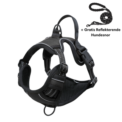 Harnais pour chien noir avec laisse réfléchissante gratuite, design ergonomique, ajustable, idéal pour promenade et sécurité nocturne.