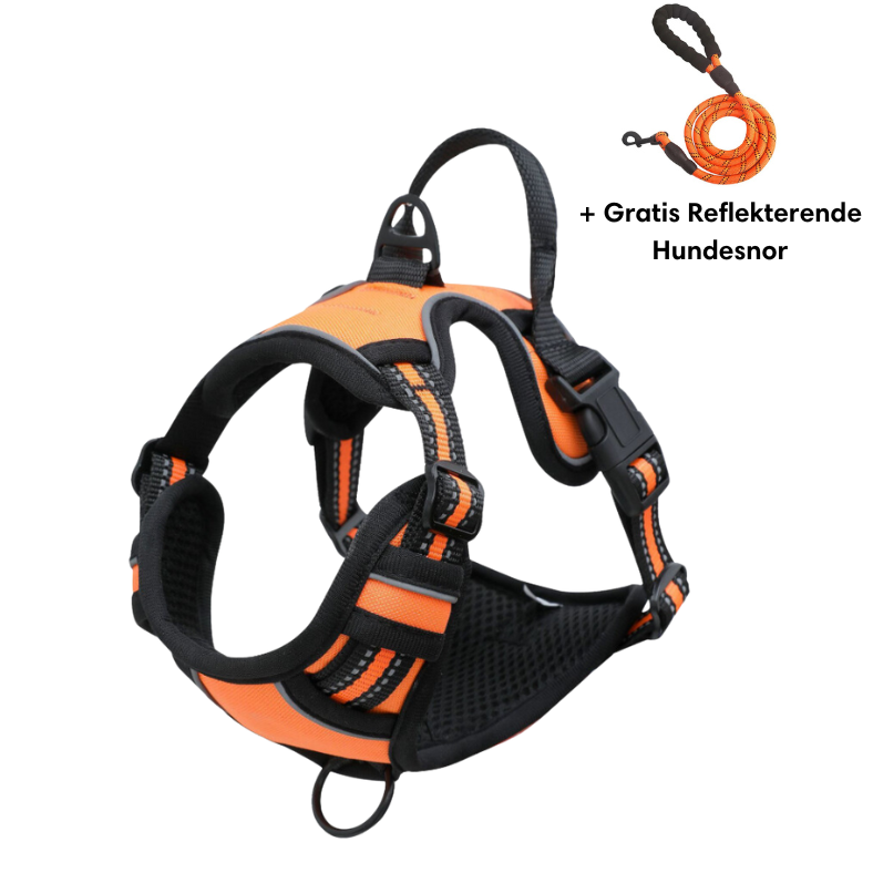 Harnais pour chien orange et noir avec laisse réfléchissante gratuite, ajustable, confortable, idéal pour promenade et sécurité canine.