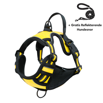 Harnais pour chien jaune et noir avec laisse réfléchissante gratuite, ajustable, confortable, idéal pour promenade et sécurité canine.