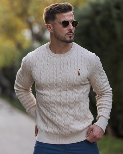 Pull en coton tricoté pour hommes