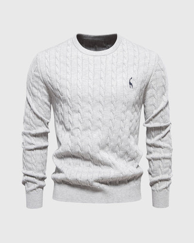 Pull en coton tricoté pour hommes