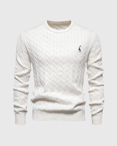 Pull en coton tricoté pour hommes