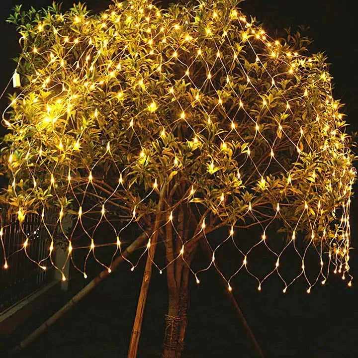 Lilia siatkowa LightTide | LED