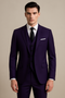 Costume tailleur 3 pièces pour hommes, violet - Classic Formal Set