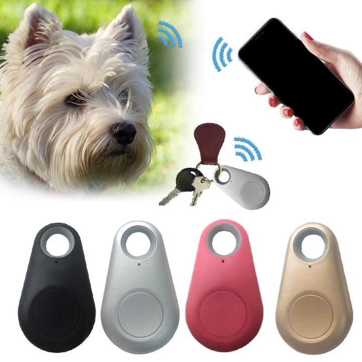 Mini traceur GPS pour chiens - Suivi en temps réel étanche avec une longue durée de vie de la batterie