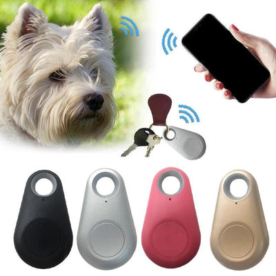 Mini traceur GPS pour chiens - Suivi en temps réel étanche avec une longue durée de vie de la batterie