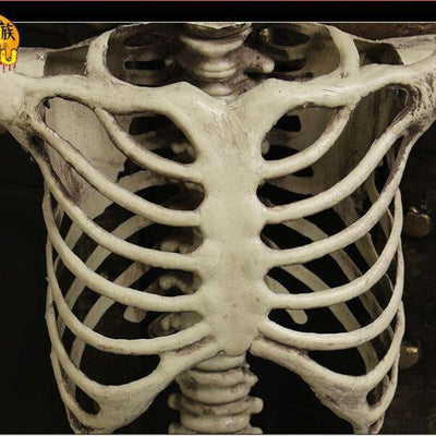 GhoulGuard | Squelette d'Halloween grandeur nature de 170 cm - décoration de jardin mobile pour une maison et un jardin hantés et effrayants