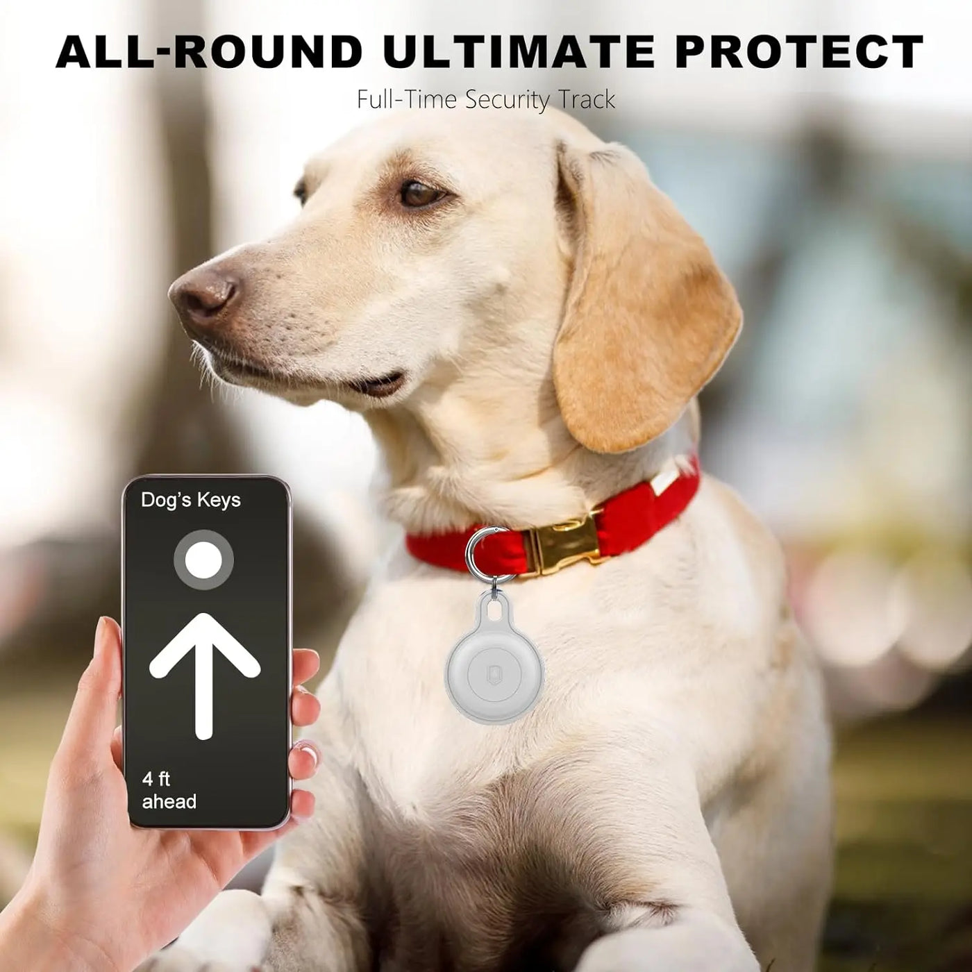 Ziggy Pet Tracker: para aventuras sin preocupaciones