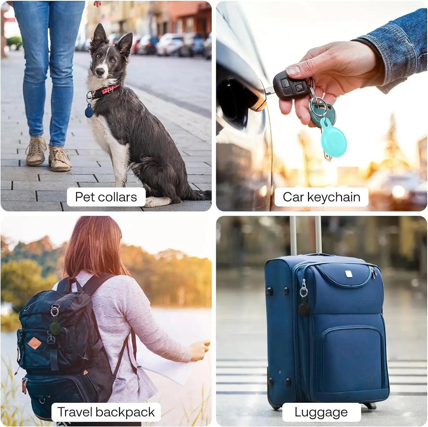 Ziggy Pet Tracker: para aventuras sin preocupaciones