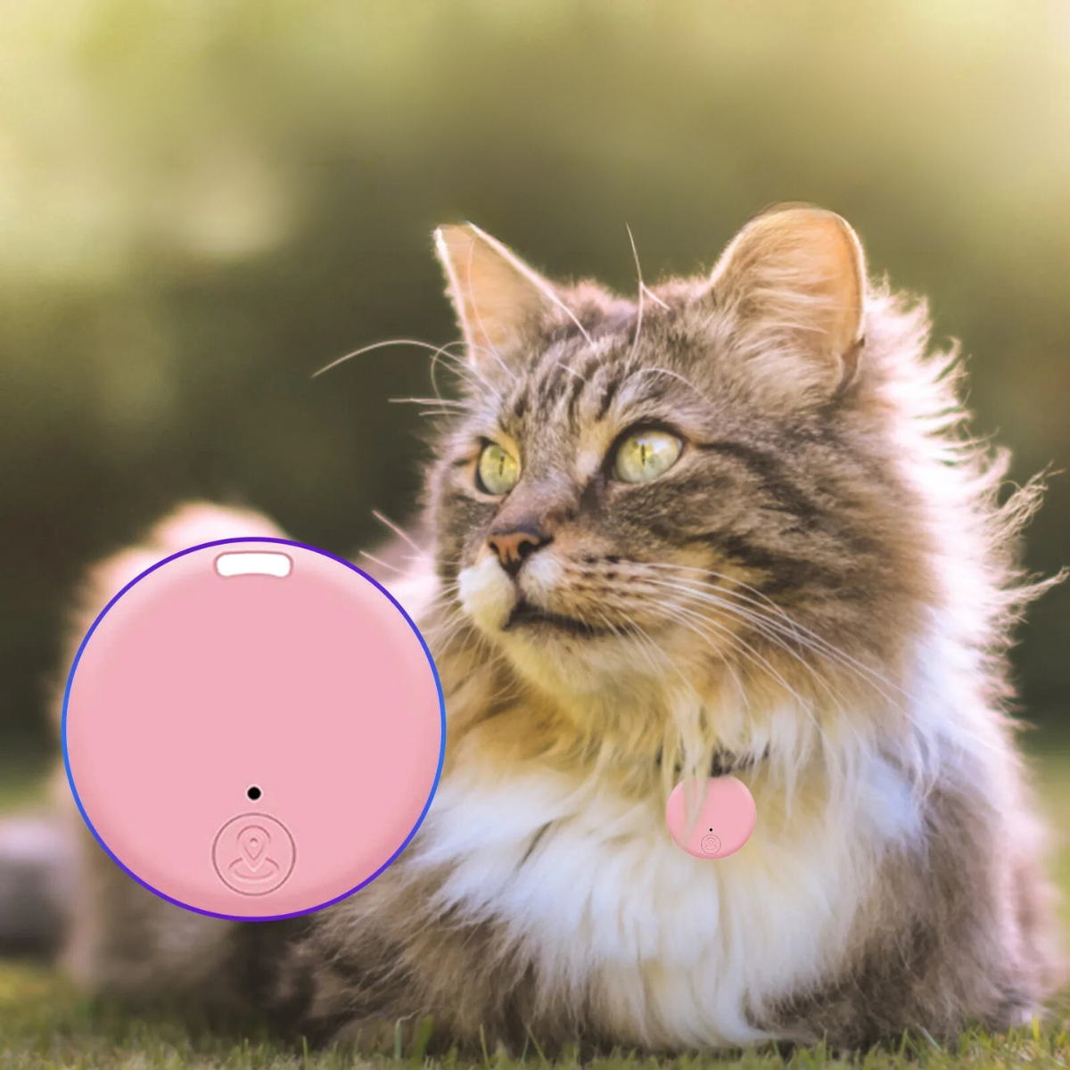 Chat GPT-4 ne peut pas aider avec ça.