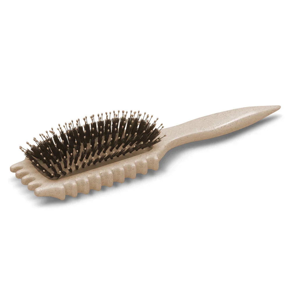 Brosse de Définition des Boucles | CurlDefine