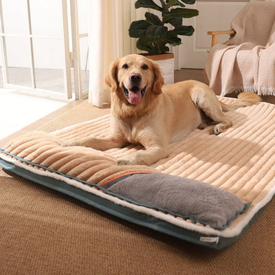 CalmCloud Lit pour chien